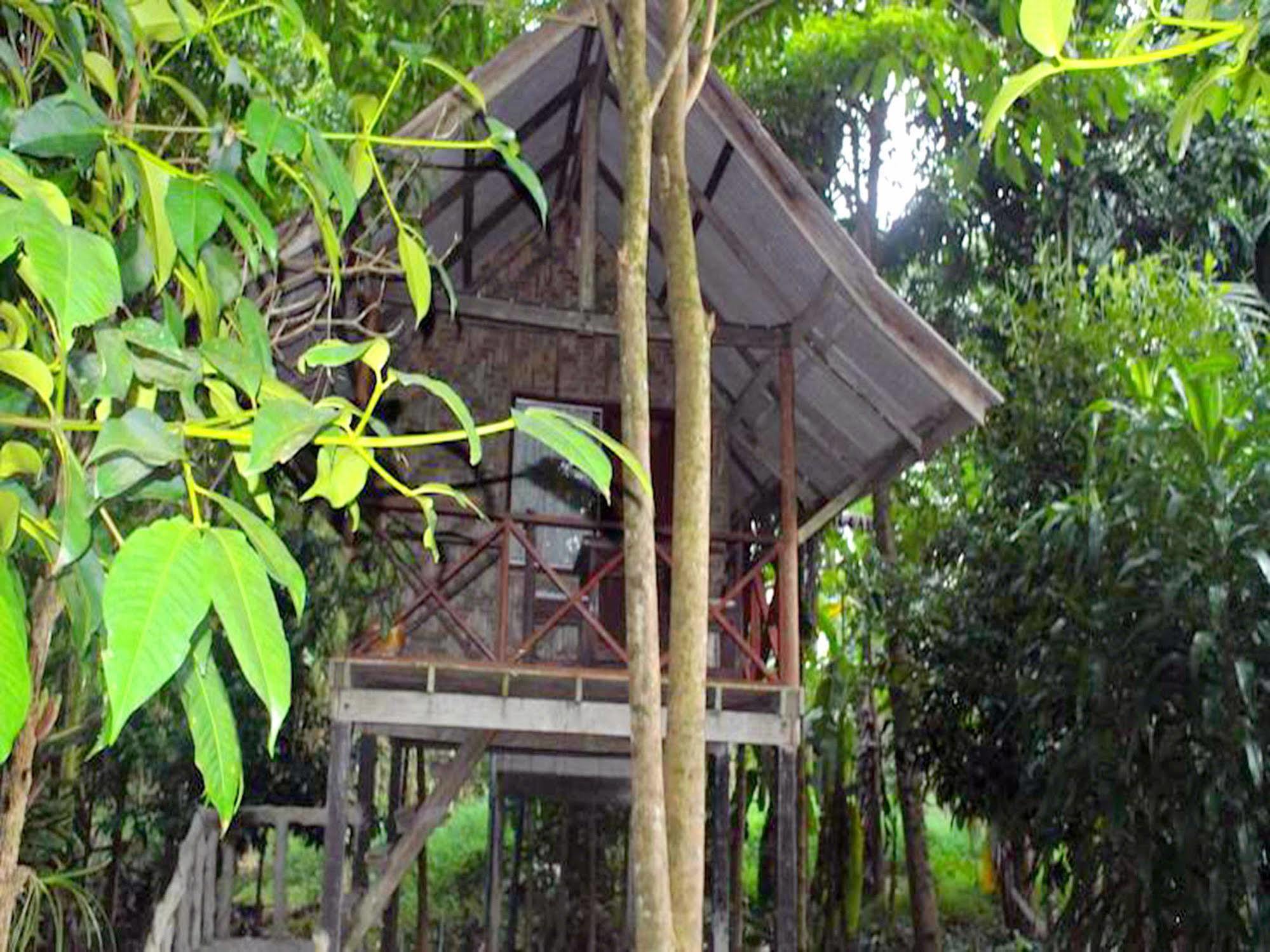 Khaosok Island Resort Khao Sok National Park Exterior photo